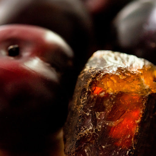 CS - Black Amber and Plum 黑琥珀梅子
